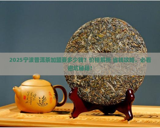 宁波普洱茶如何加盟的价格