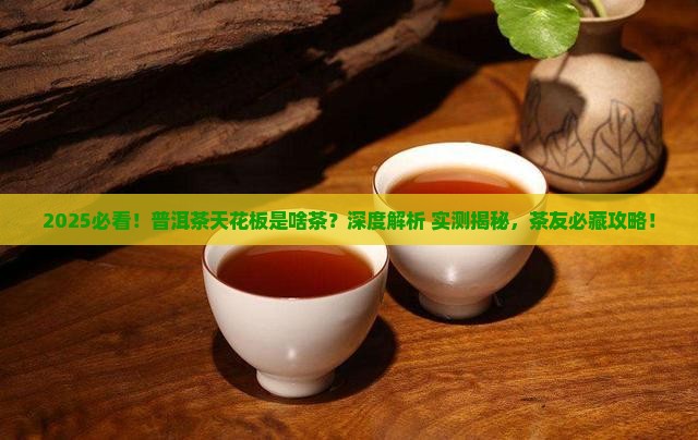 普洱茶中天花板是什么茶