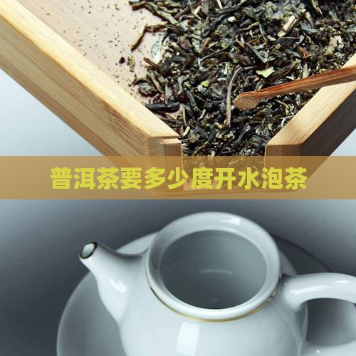 普洱茶要多少度开水泡茶
