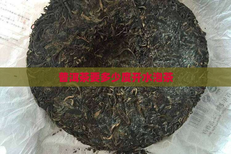 普洱茶要多少度开水泡茶