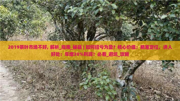 2019茶叶市场不好
