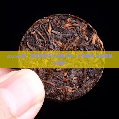 普洱茶夏天放冰箱冷藏吗