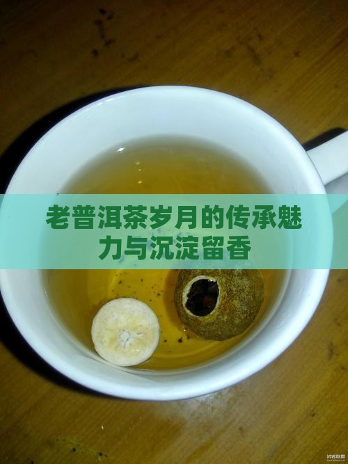 老普洱茶岁月的