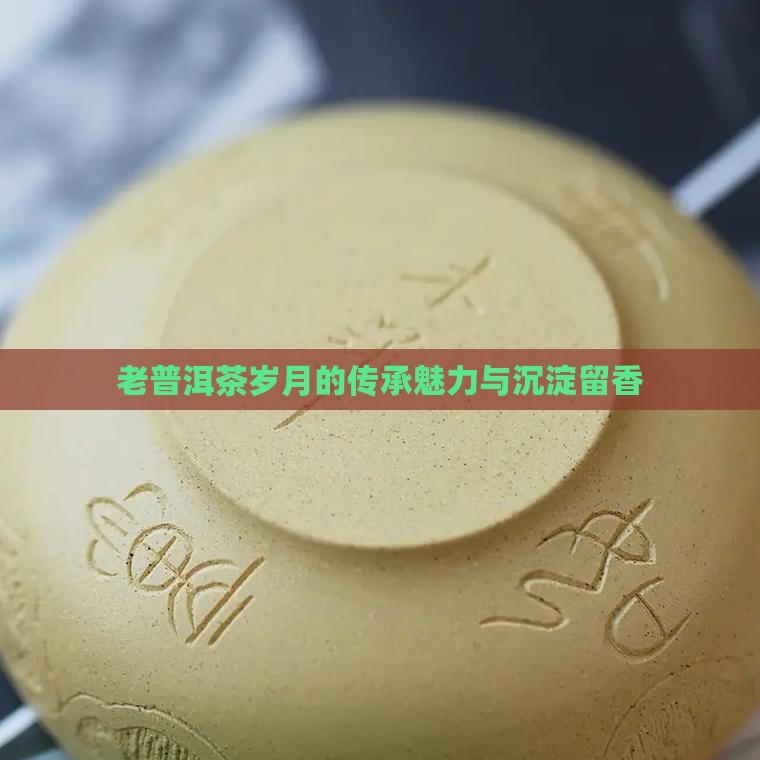 老普洱茶岁月的