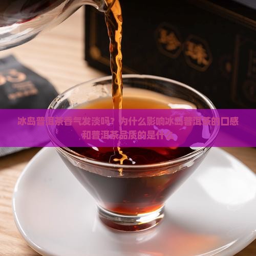 冰岛普洱茶香气发淡吗为什么