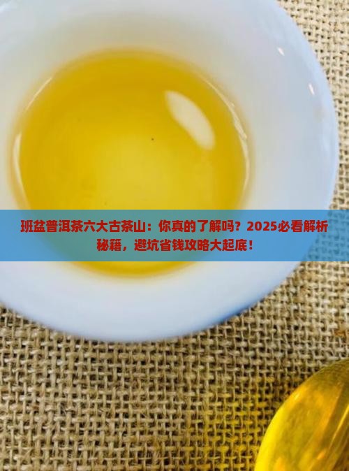 班盆普洱茶六大古茶山