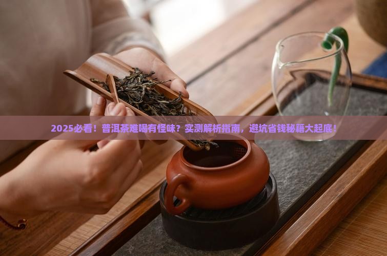 普洱茶难喝有怪味