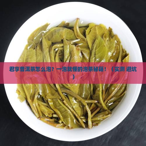 君享普洱茶怎么泡