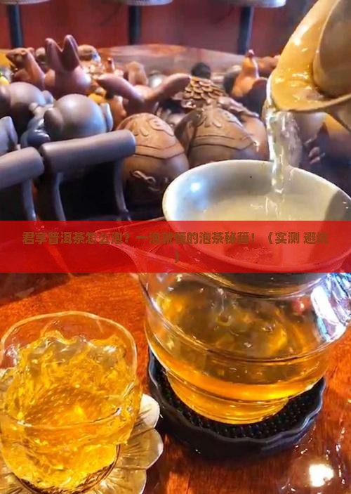 君享普洱茶怎么泡