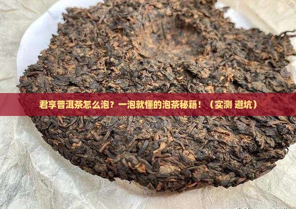 君享普洱茶怎么泡