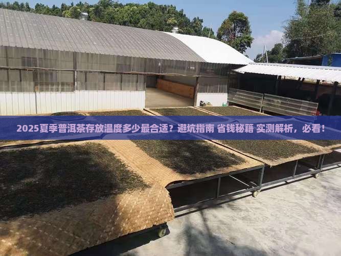 夏季普洱茶存放温度多少