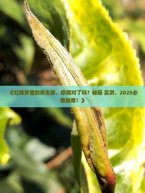 红楼梦中提到的养生茶有什么