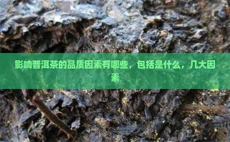 影响普洱茶的品质因素