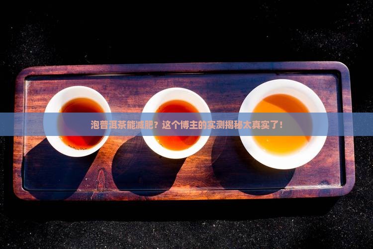 泡普洱茶怎么减肥推荐博主