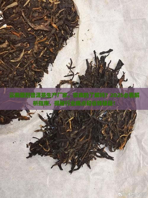 云南磨烈普洱茶生产厂家