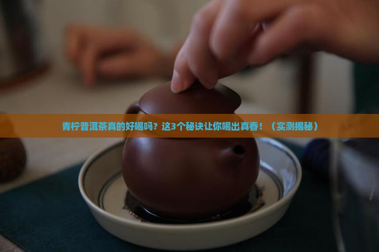 青柠普洱茶好不好喝呢怎么辨别