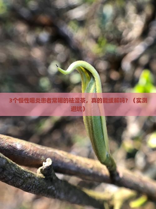慢性咽炎可以喝祛湿茶吗