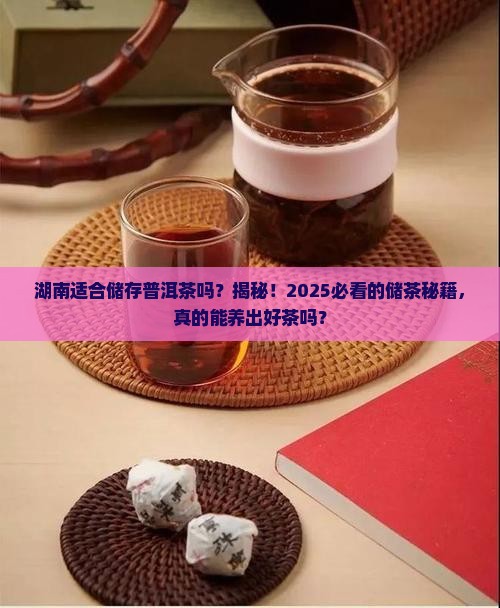 湖南适合储存普洱茶吗为什么
