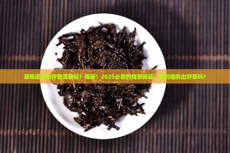 湖南适合储存普洱茶吗为什么