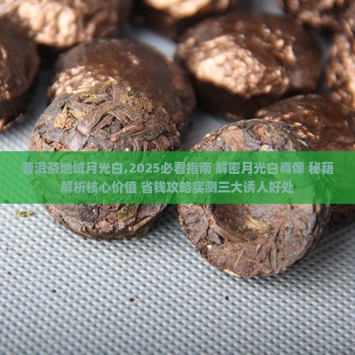 普洱茶地域月光白