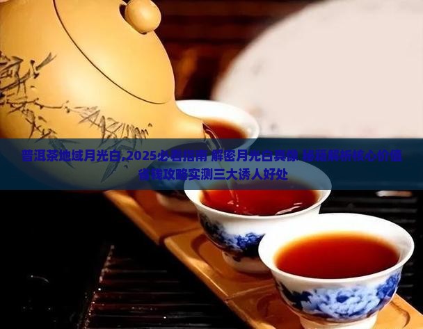 普洱茶地域月光白