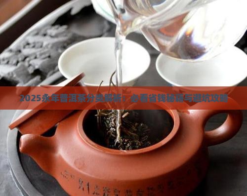 永年普洱茶分类