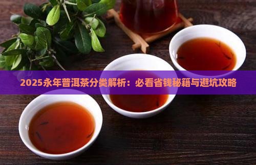 永年普洱茶分类
