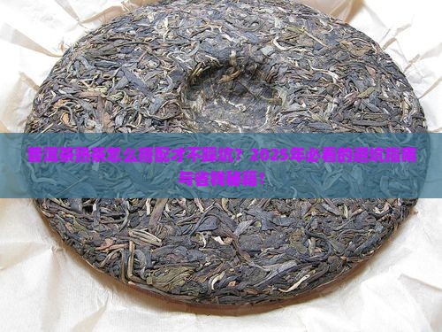普洱茶熟茶搭配