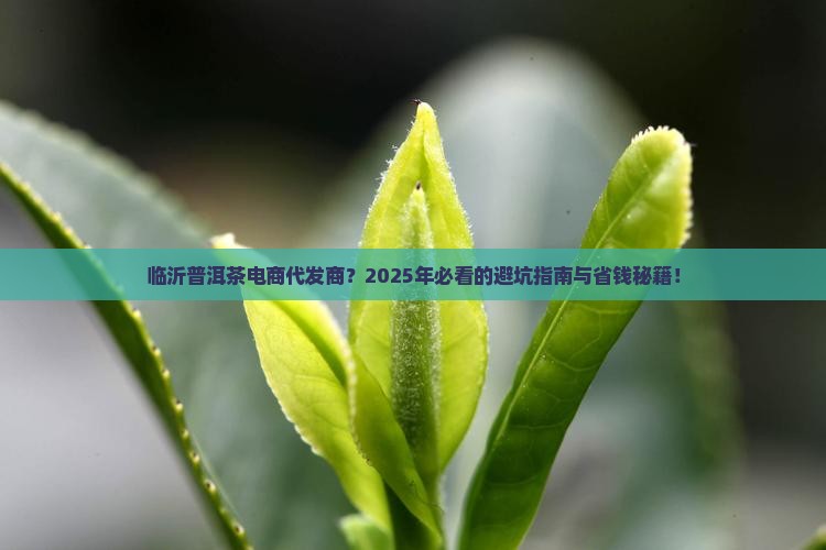 临沂普洱茶电商代发商