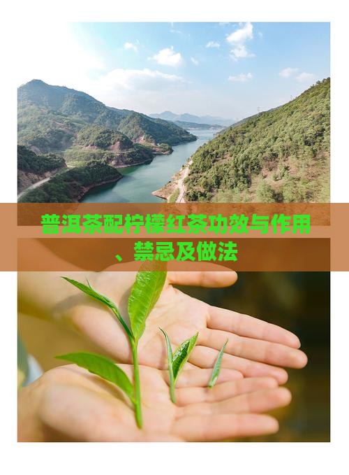 普洱茶配柠檬红茶功效