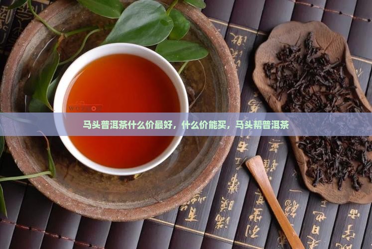 马头普洱茶什么价