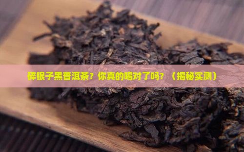 碎银子黑普洱茶
