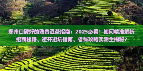郑州口碑好的熟普洱茶招商