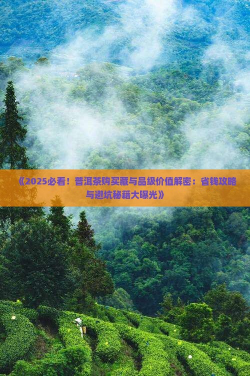 普洱茶的购买藏与品级价值