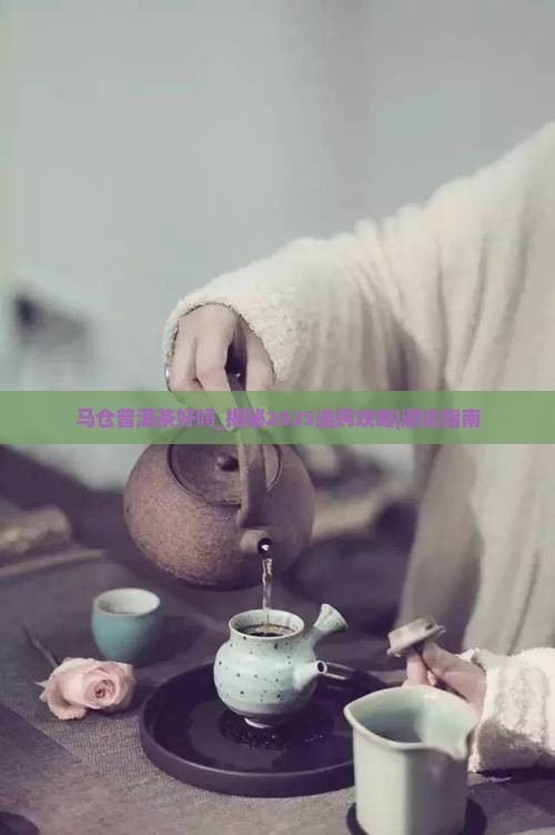 马仓普洱茶好吗 马仓普洱茶好吗