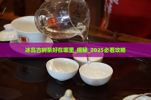 冰岛古树茶好在哪里