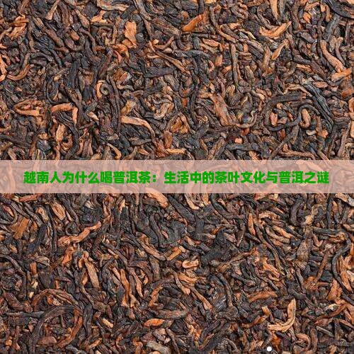 越南人为什么要喝普洱茶