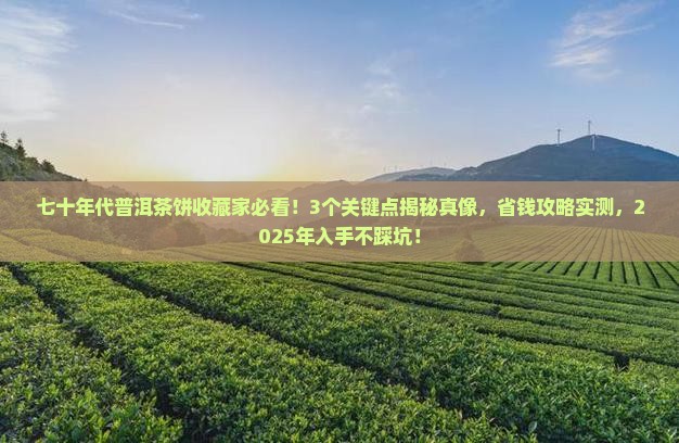 七十年代普洱茶饼