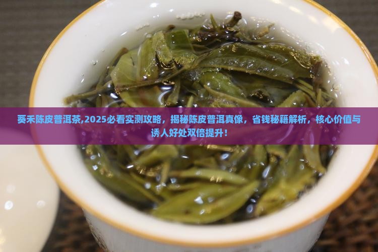 葵禾陈皮普洱茶