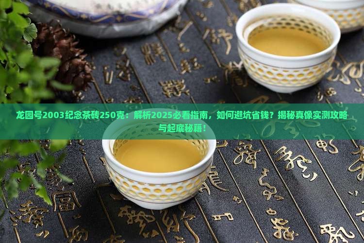 龙园号2003纪念茶砖250克