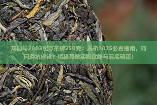 龙园号2003纪念茶砖250克