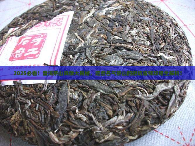 普洱有名气的茶山排行