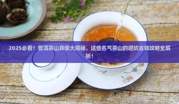 普洱有名气的茶山排行