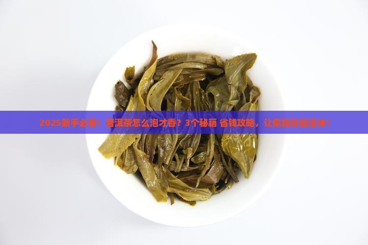普洱茶怎么泡最有效