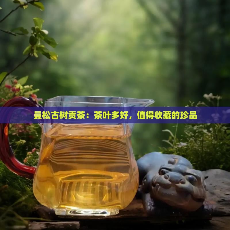 曼松古树茶有多好