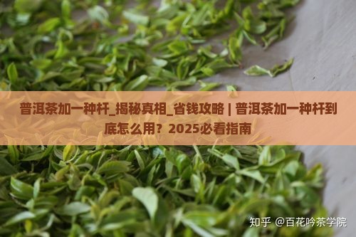 普洱茶加一种杆
