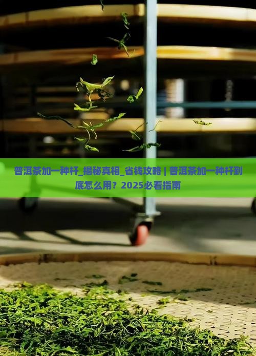 普洱茶加一种杆