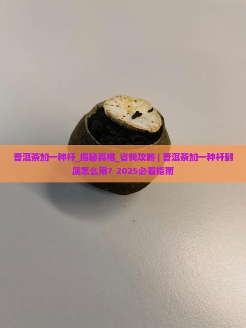 普洱茶加一种杆