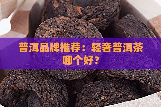 轻奢普洱茶有哪些