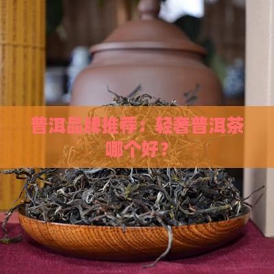 轻奢普洱茶有哪些